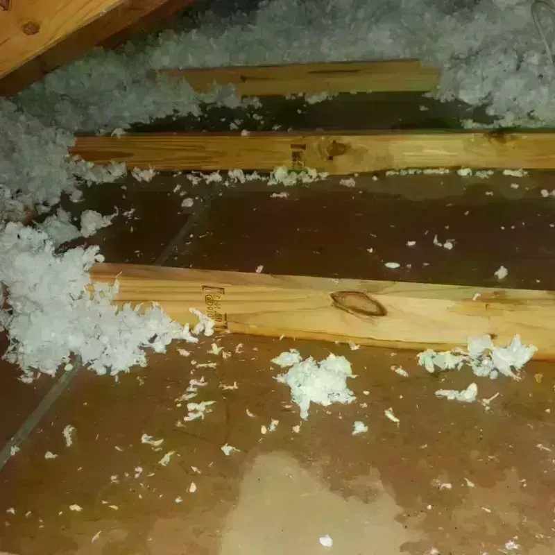 Attic Water Damage in Edgewater, NJ