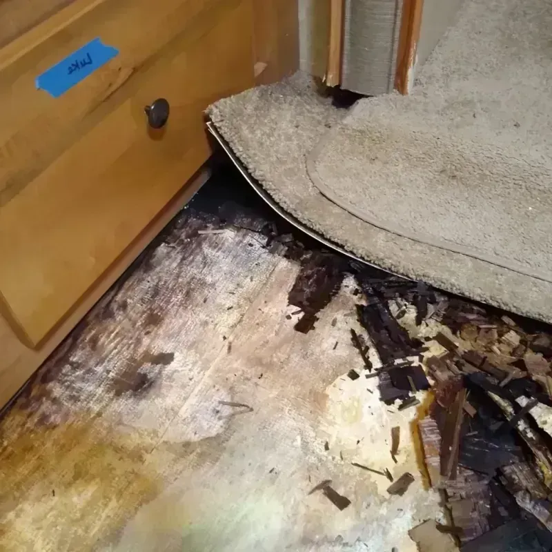 Wood Floor Water Damage in Edgewater, NJ